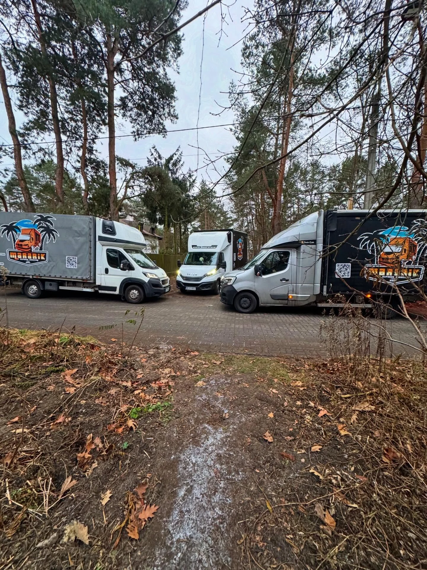 Three branded Mararik Express vehicles parked together among pine trees